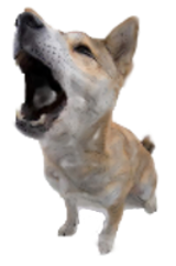 Big Barking Dog Logo
